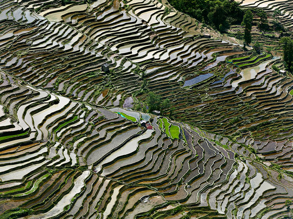Watermark: Rice Terraces in Western Yunnan Province, China by Edward Burtynsky