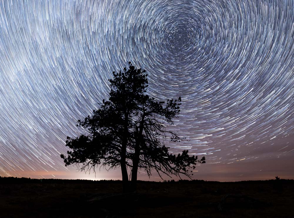 Star trails above a lone tree in Cyrpess Hills Provincial Park in Southern Alberta