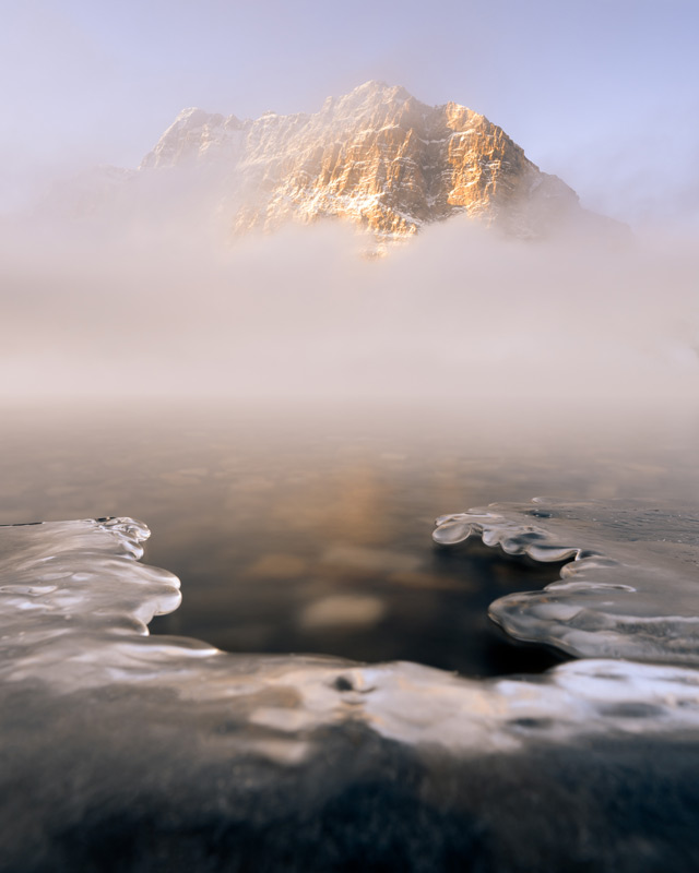 Stunning fog, a freshly frozen foreground and beautiful sunlight combine to highlight Bow Lake in Banff National Park